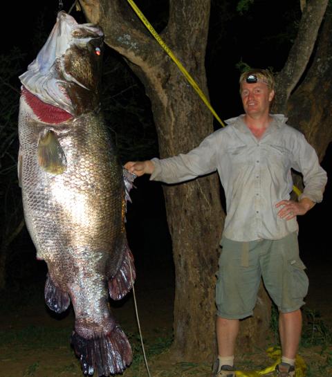 Largest Freshwater Fish - Nile Perch
